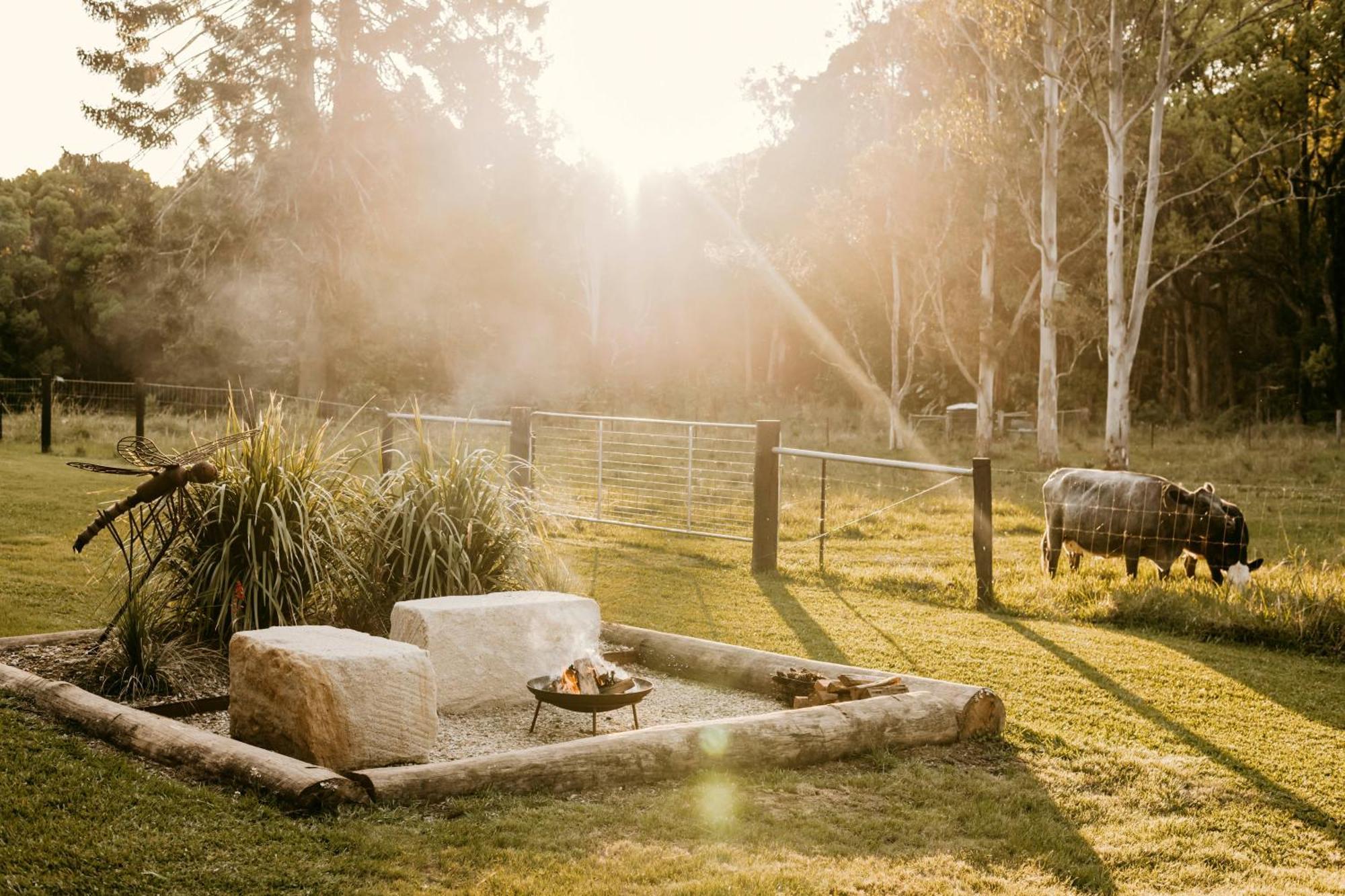 Contained In Nimbin Accommodation Bagian luar foto