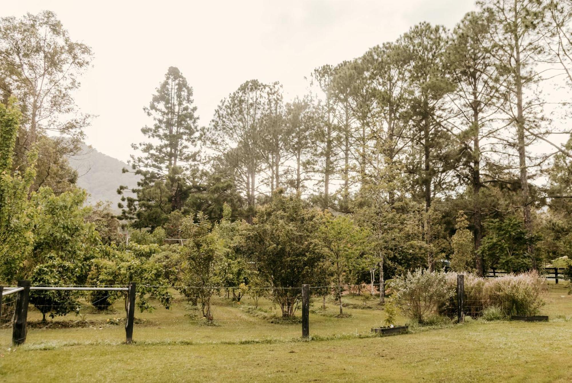 Contained In Nimbin Accommodation Bagian luar foto